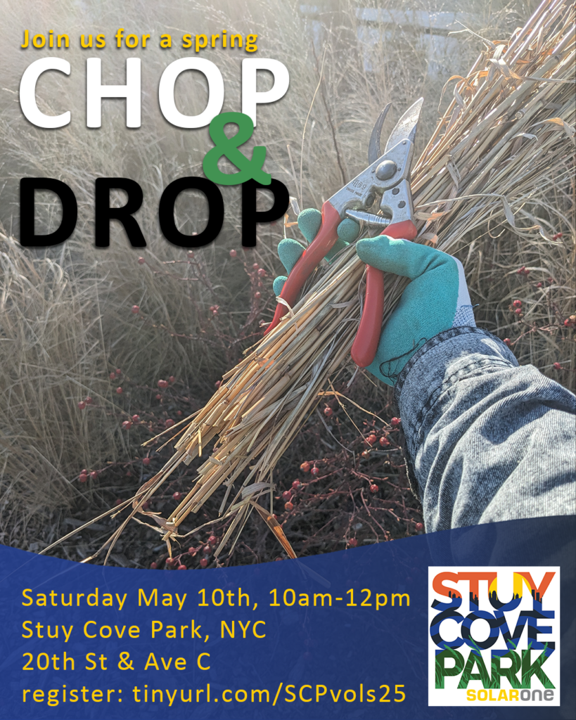 Spring Chop n’ Drop