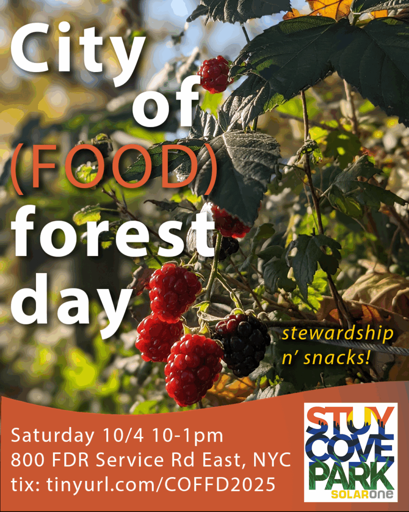 City of (Food) Forest Day at Stuy Cove Park!