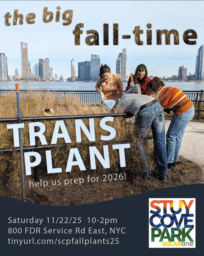 The Big Fall-Time Transplant! 🍂