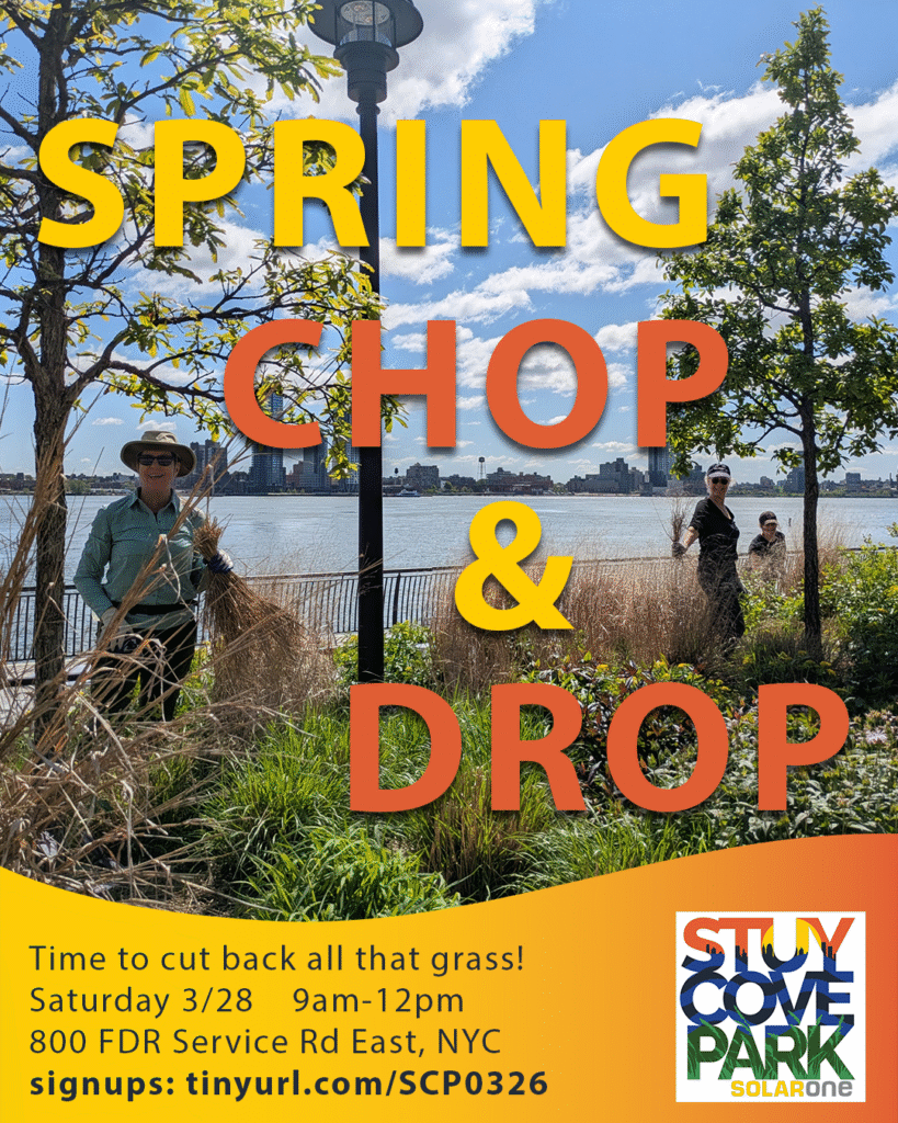 Spring Chop & Drop
