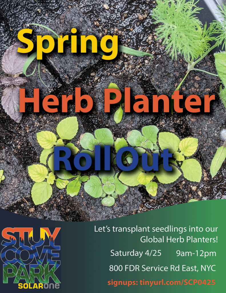 Spring Herb Planter Roll Out | April 25