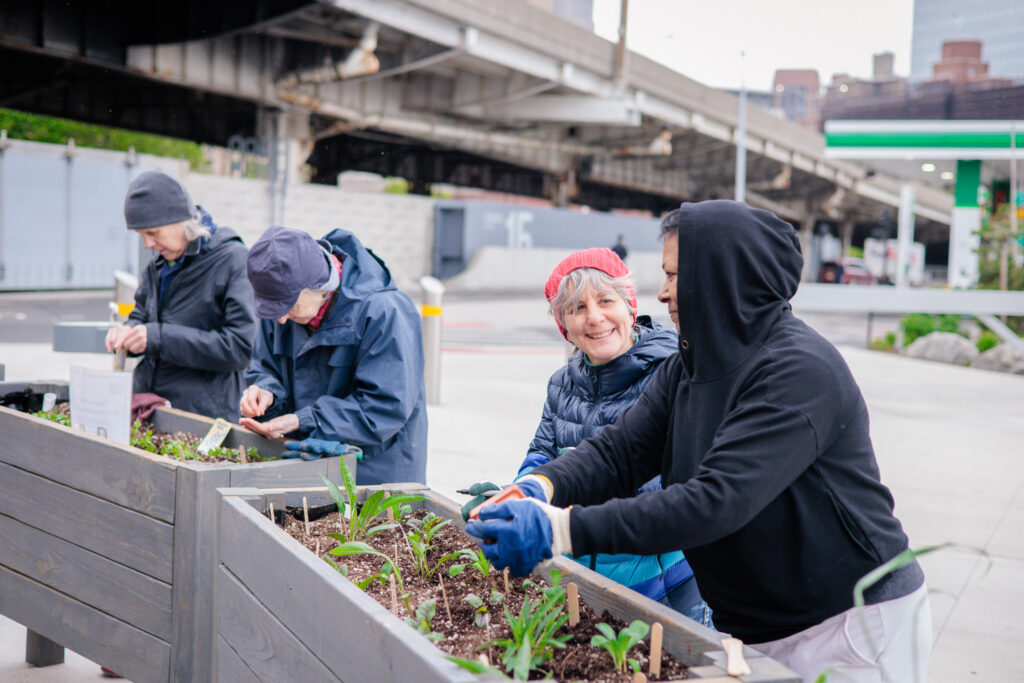 SPRING HERB PLANTER ROLL OUT AT STUY COVE PARK
