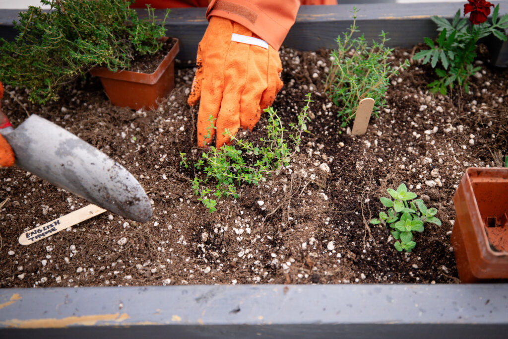 SPRING HERB PLANTER ROLL OUT AT STUY COVE PARK