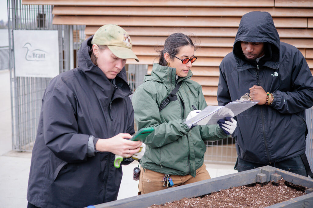 SPRING HERB PLANTER ROLL OUT AT STUY COVE PARK